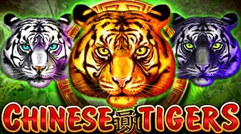 Chinese Tigers